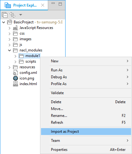 Figure 4. Import NaCl module as a project